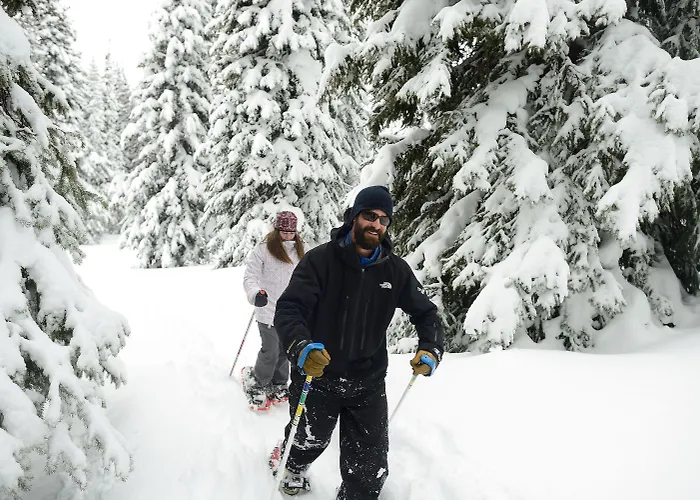 Targhee By Grand Targhee Hotel Alta